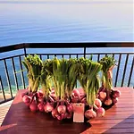 Del Sole * Tropea