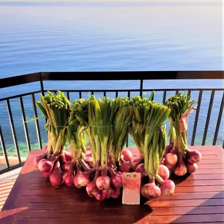 Del Sole * Santa Domenica (Vibo Valentia)